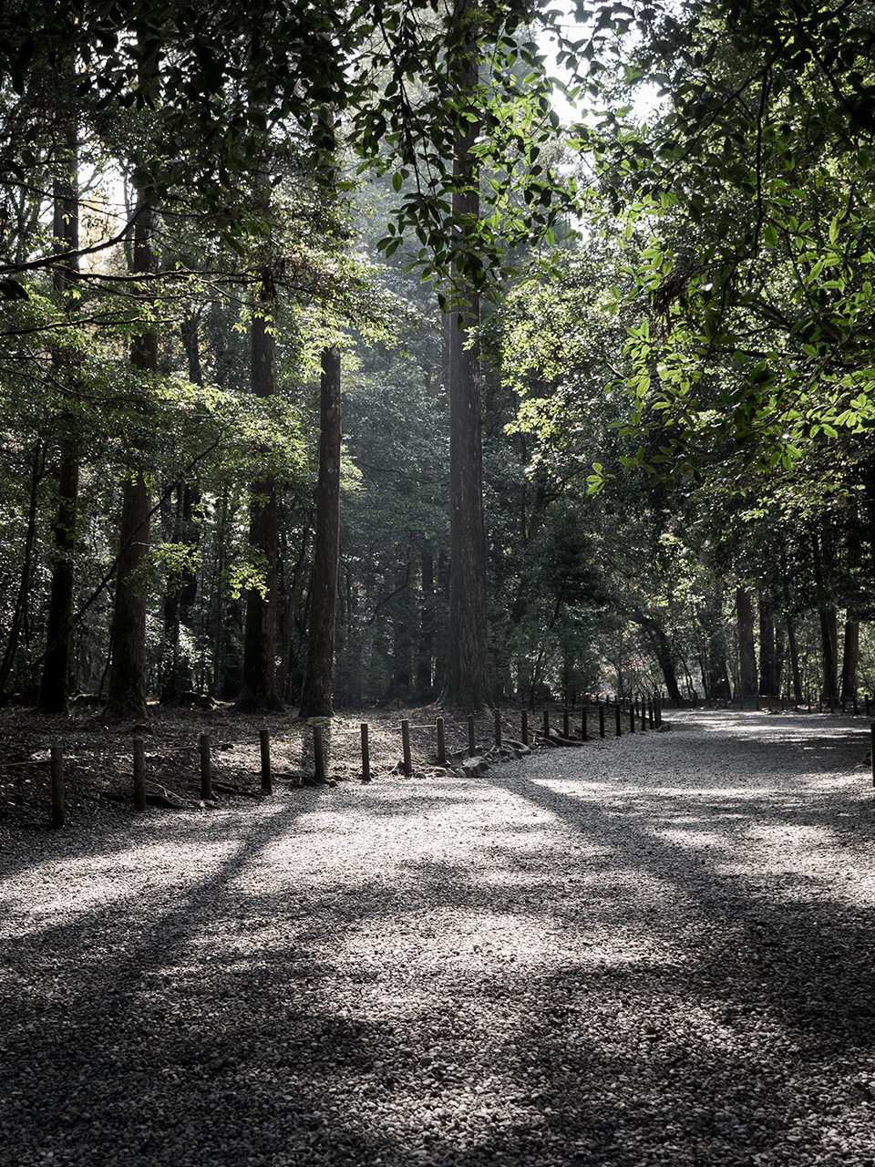 f:id:tsugayuki:20181224184403j:plain f:id:tsugayuki:20181224184403j:plain