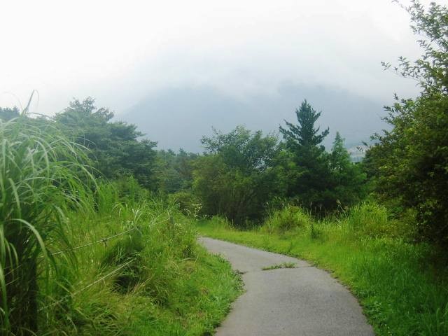 仙石原遊歩道