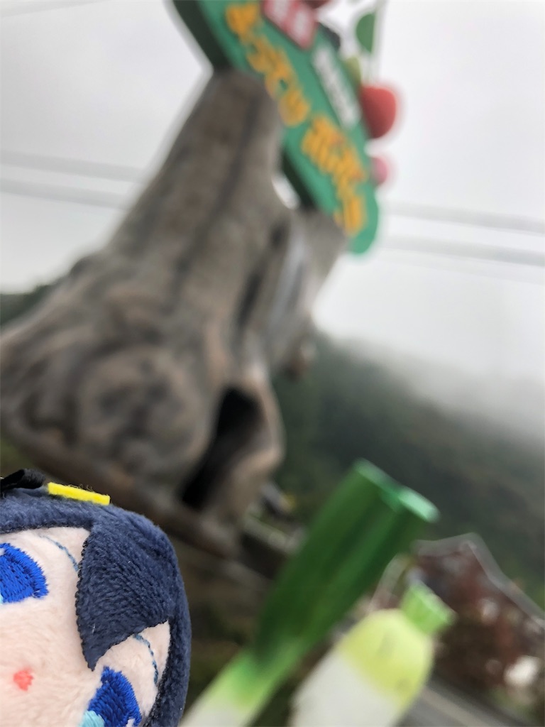 f:id:tsugumun:20191019215435j:image f:id:tsugumun:20191019215435j:image