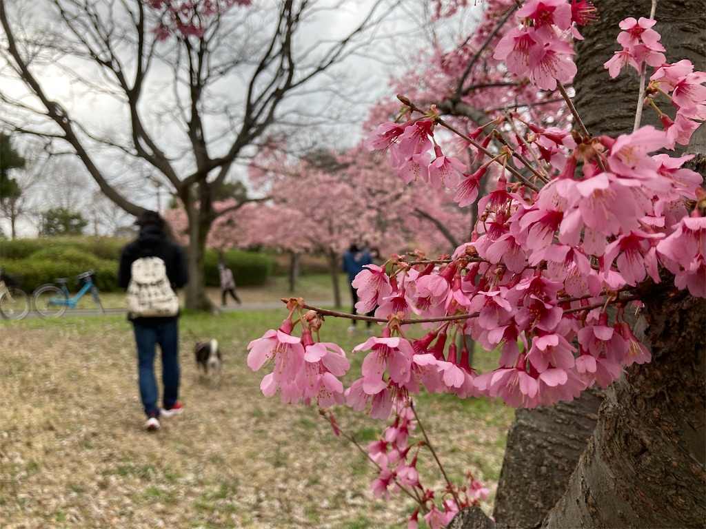 f:id:tsuhitan:20211026212352j:image f:id:tsuhitan:20211026212352j:image