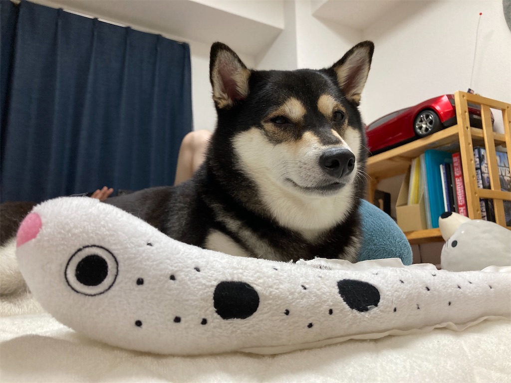 f:id:tsuhitan:20211026212355j:image f:id:tsuhitan:20211026212355j:image