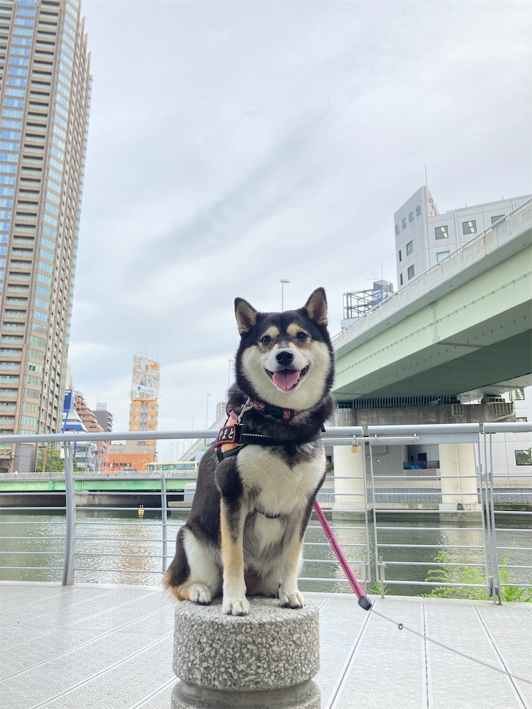 f:id:tsuhitan:20211026212420j:image f:id:tsuhitan:20211026212420j:image