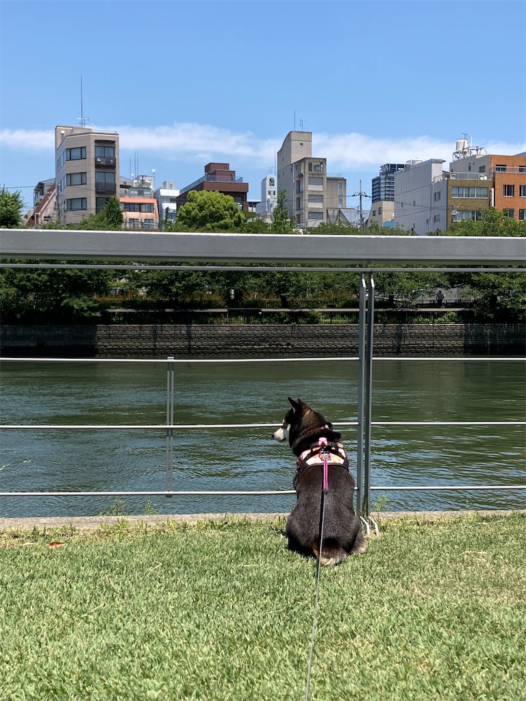 f:id:tsuhitan:20211026212431j:image f:id:tsuhitan:20211026212431j:image
