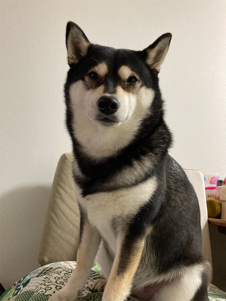 f:id:tsuhitan:20220122165109j:image