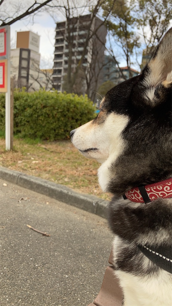 f:id:tsuhitan:20220130214112j:image f:id:tsuhitan:20220130214112j:image
