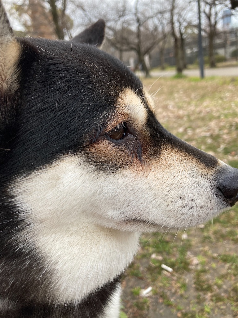 f:id:tsuhitan:20220203114717j:image f:id:tsuhitan:20220203114717j:image