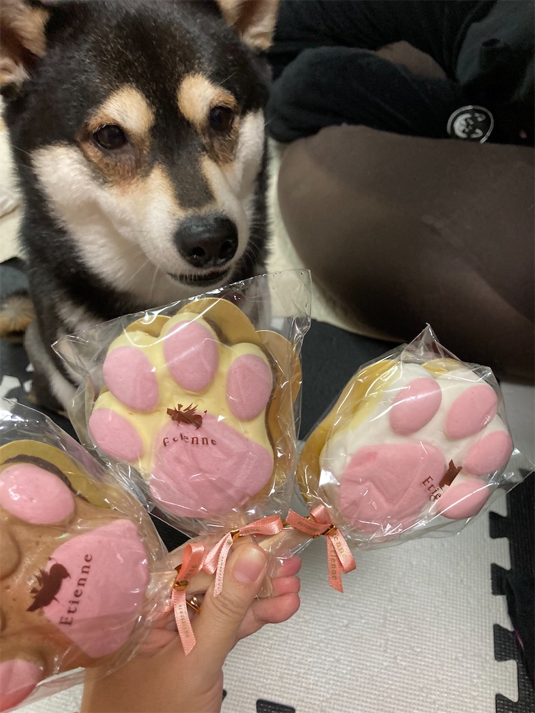 f:id:tsuhitan:20220214000220j:image