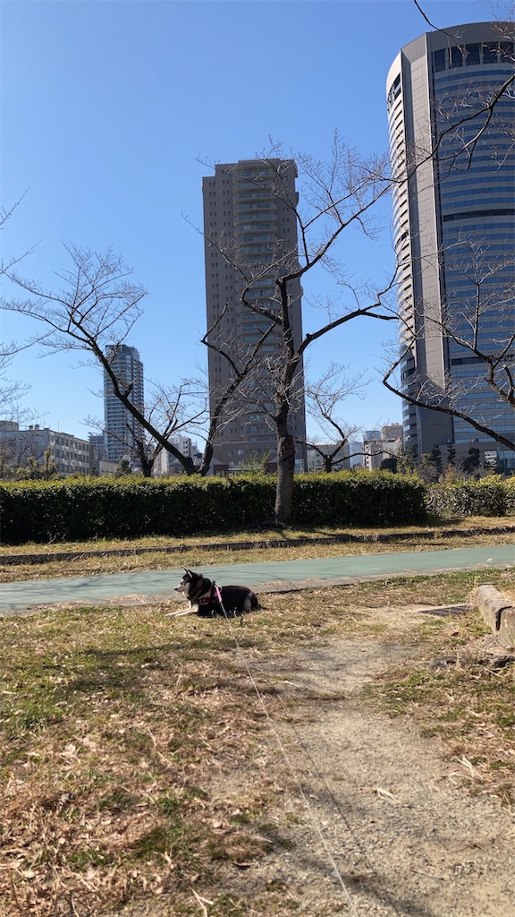 f:id:tsuhitan:20220303123425j:image