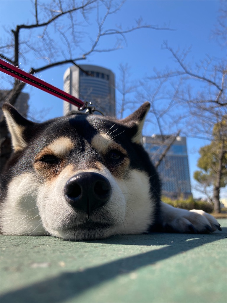 f:id:tsuhitan:20220303123430j:image