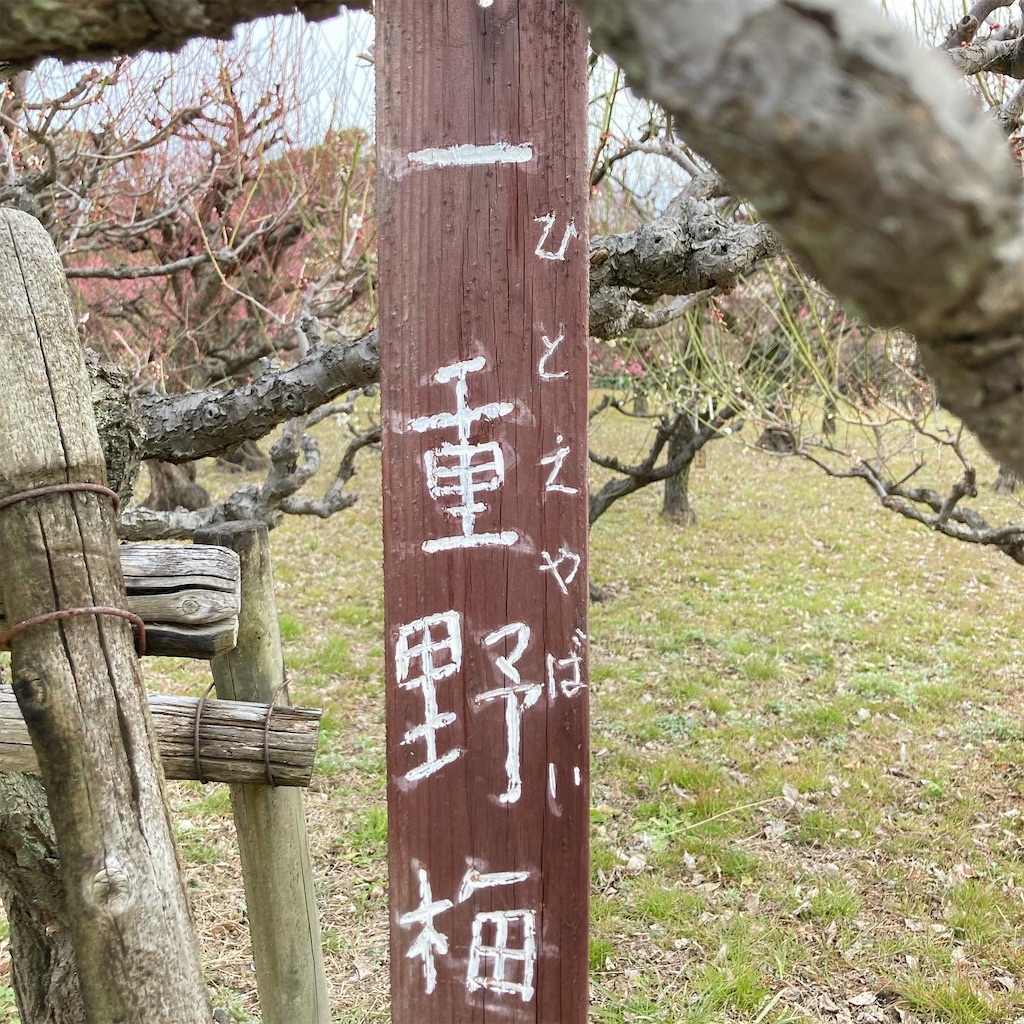 f:id:tsuhitan:20220303123433j:image