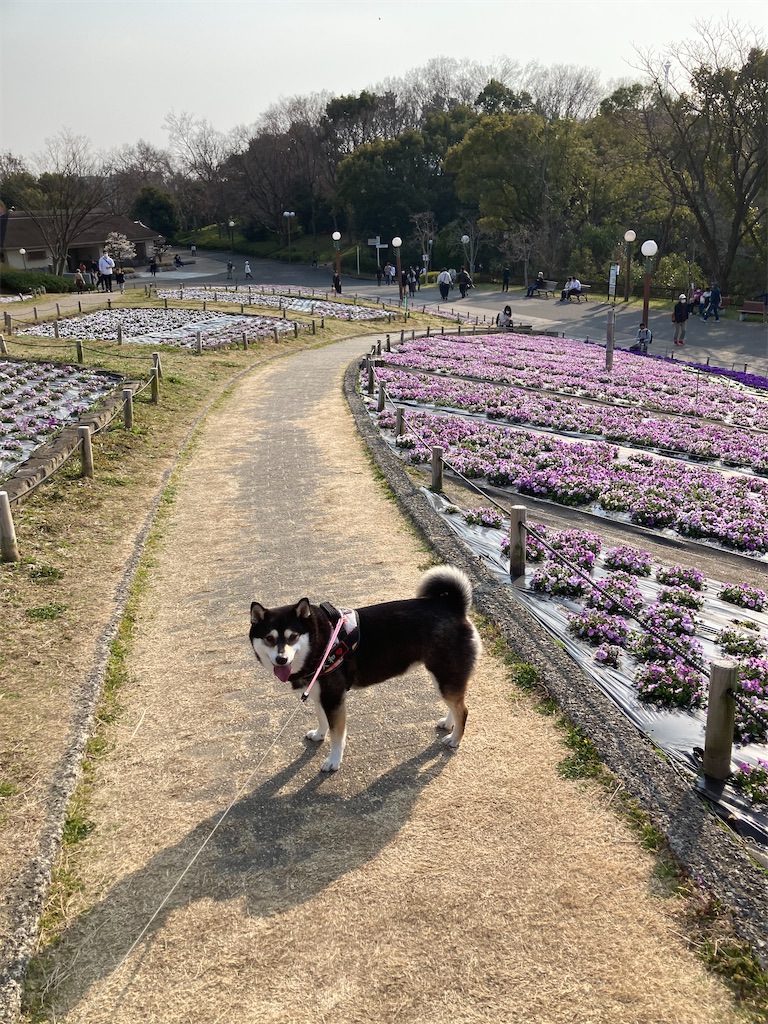 f:id:tsuhitan:20220316120654j:image f:id:tsuhitan:20220316120654j:image