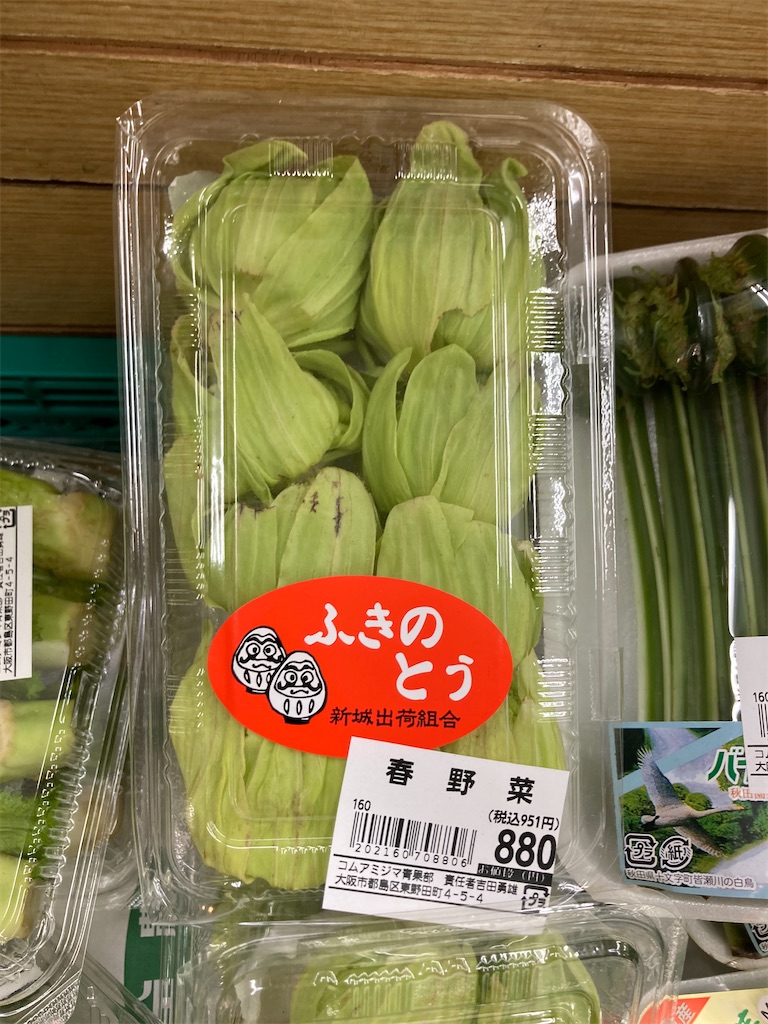f:id:tsuhitan:20220316120713j:image f:id:tsuhitan:20220316120713j:image