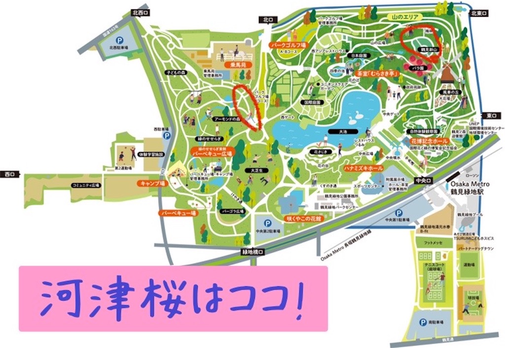 f:id:tsuhitan:20220320223303j:image f:id:tsuhitan:20220320223303j:image