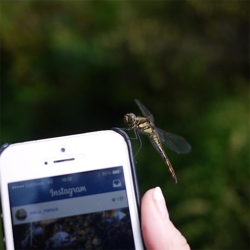 f:id:tsuiterunrun:20201009041941j:image f:id:tsuiterunrun:20201009041941j:image