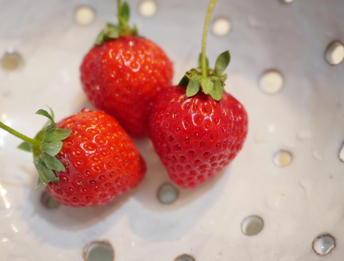 f:id:tsuiterunrun:20220129184354j:plain