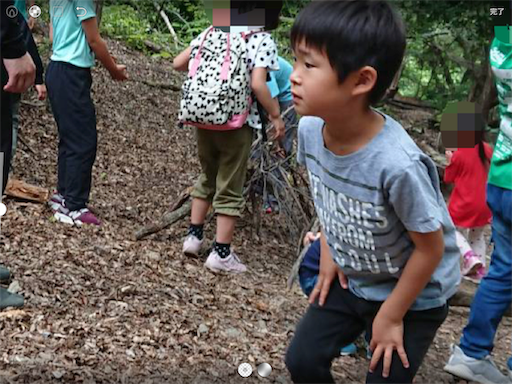 f:id:tsuji-shinkyuin:20190603074911p:image