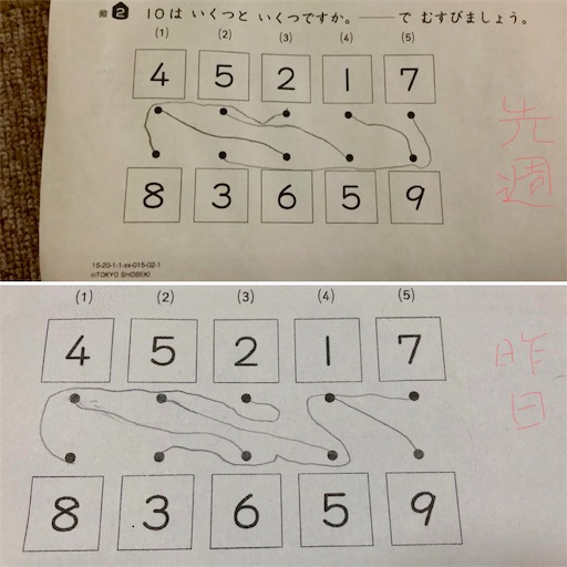 f:id:tsuji-shinkyuin:20190604081515j:image