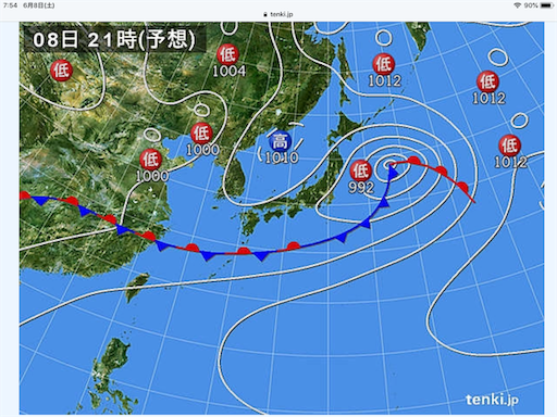f:id:tsuji-shinkyuin:20190608080146p:image