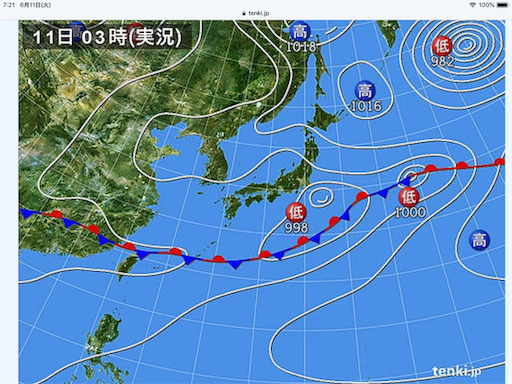 f:id:tsuji-shinkyuin:20190611073355p:image