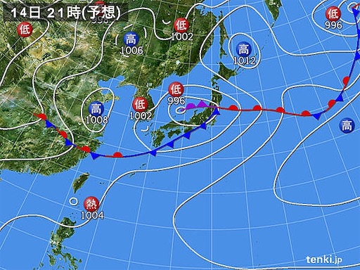 f:id:tsuji-shinkyuin:20200714072858j:image