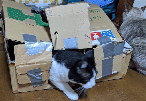 f:id:tsuji-shinkyuin:20200714074150j:image