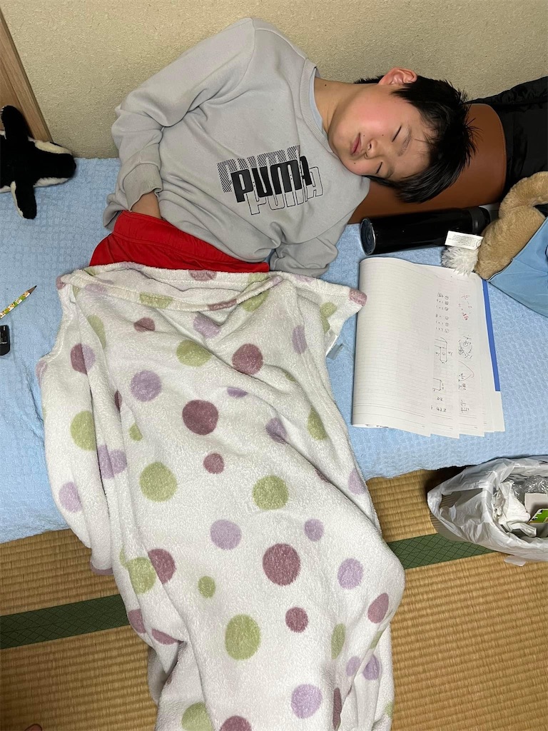 f:id:tsuji-shinkyuin:20230301075244j:image