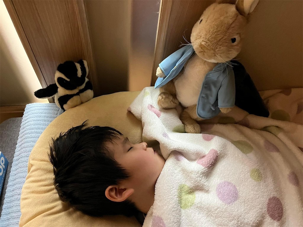 f:id:tsuji-shinkyuin:20230301075329j:image