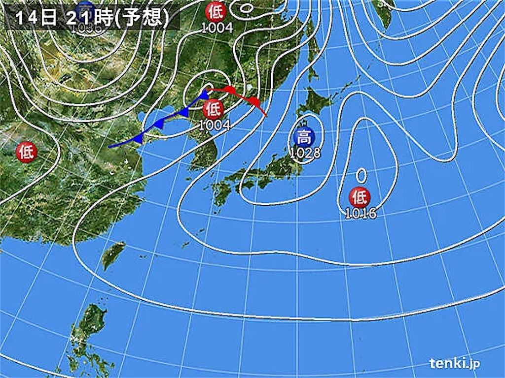 f:id:tsuji-shinkyuin:20230314074049j:image