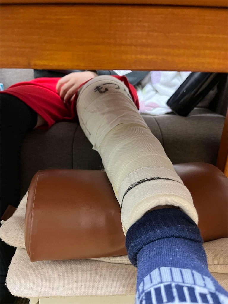 f:id:tsuji-shinkyuin:20230314074322j:image