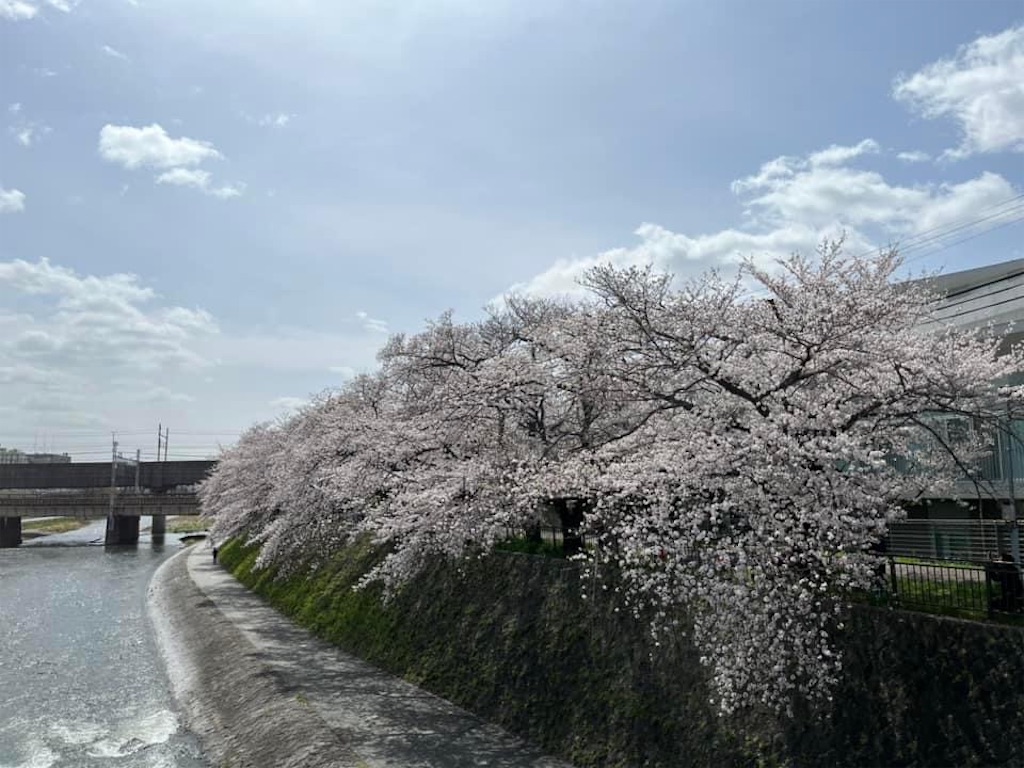 f:id:tsuji-shinkyuin:20230328072400j:image