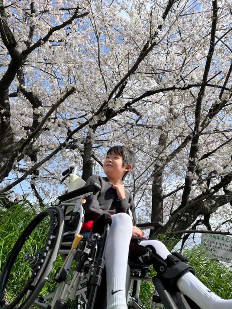 f:id:tsuji-shinkyuin:20230328073317j:image