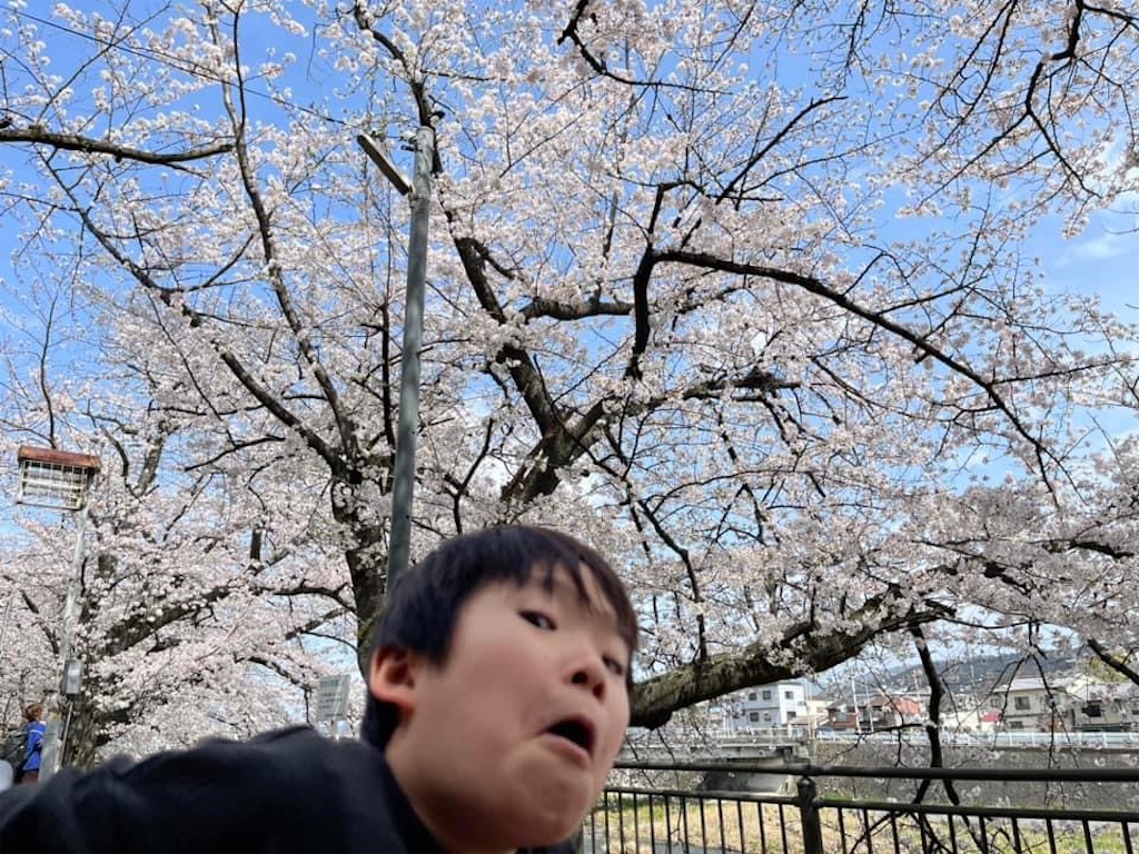 f:id:tsuji-shinkyuin:20230328073334j:image