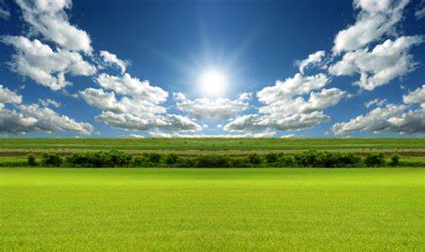 f:id:tsujicooking:20200518235241j:plain