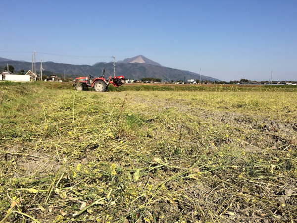 畔塗り機と菜の花をすき込んだ圃場