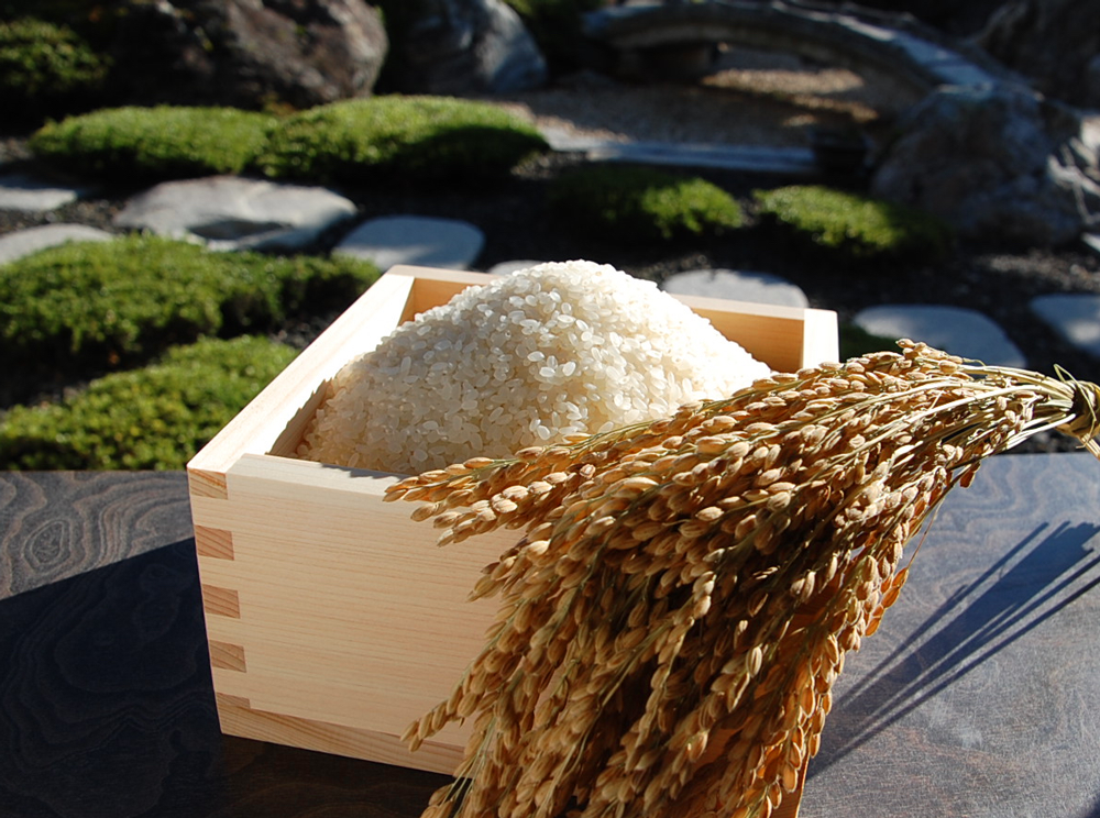 枡と稲穂1