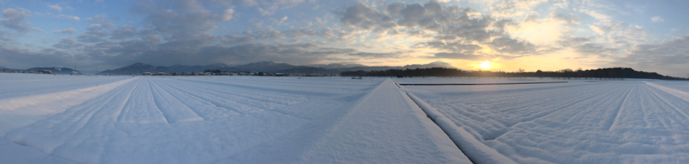 雪の上に立てた朝3