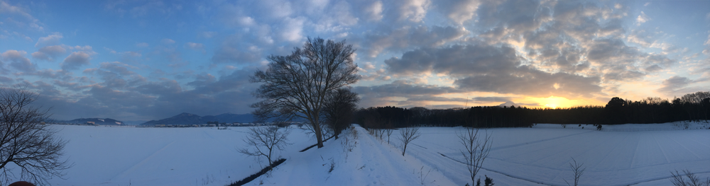 雪の上に立てた朝1