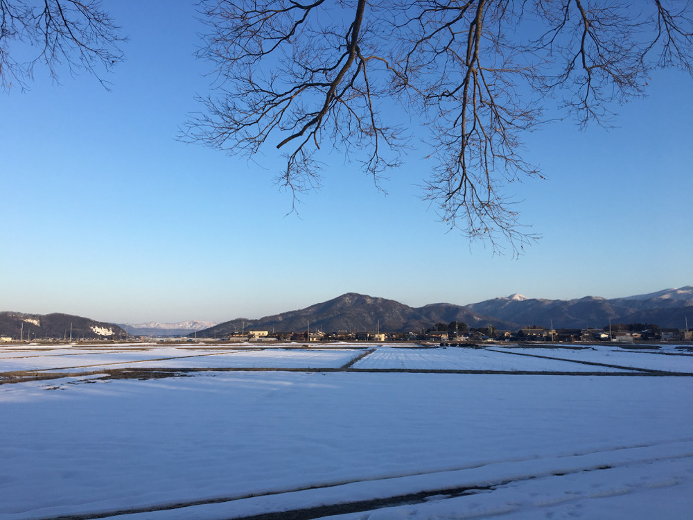 今朝の小谷山と田んぼの雪。上を歩けました。