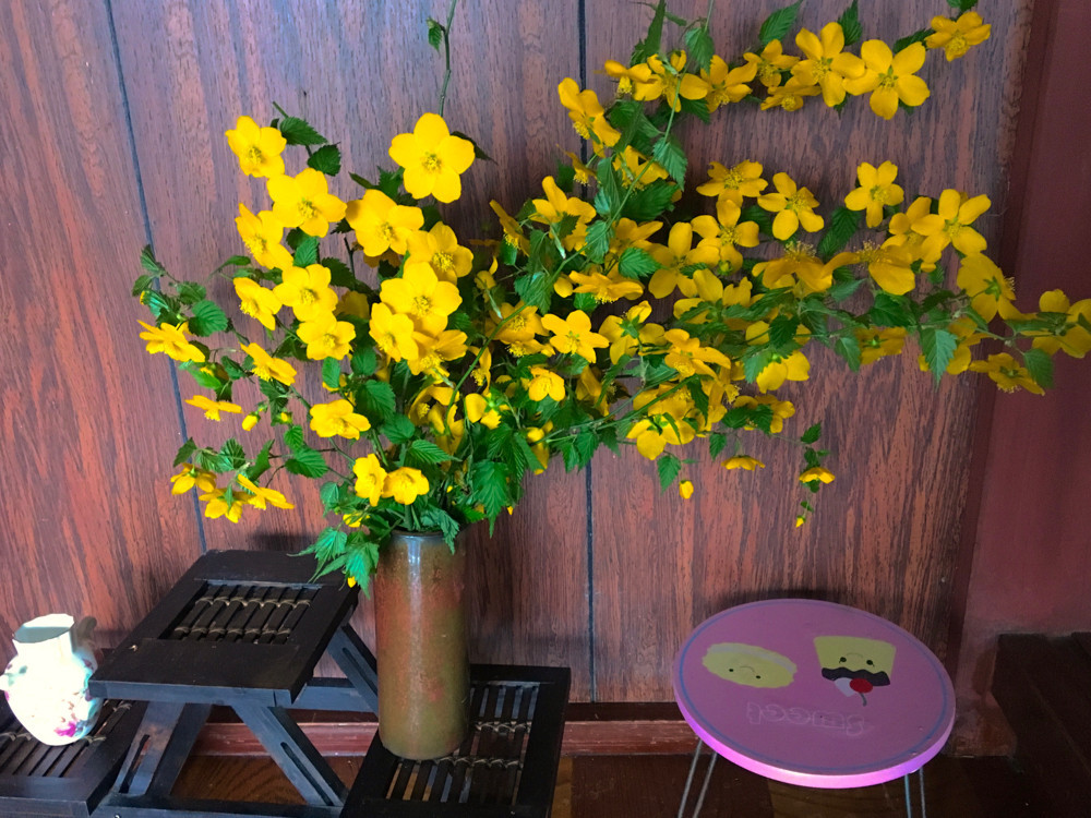 山吹の花