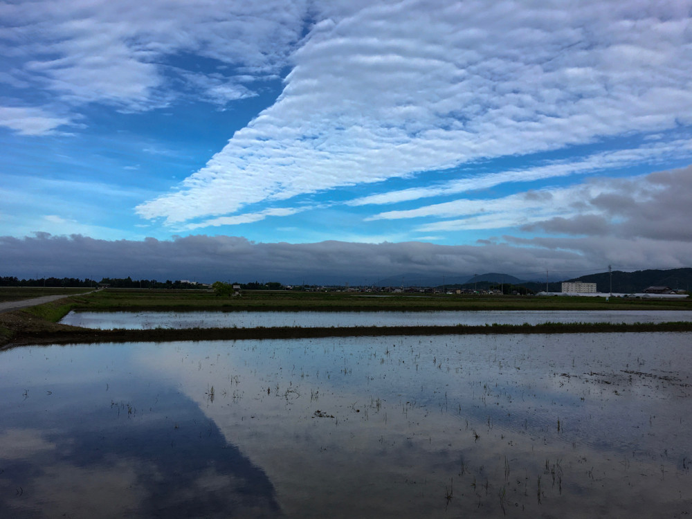 雨上がりの朝、一瞬ひろがった青空