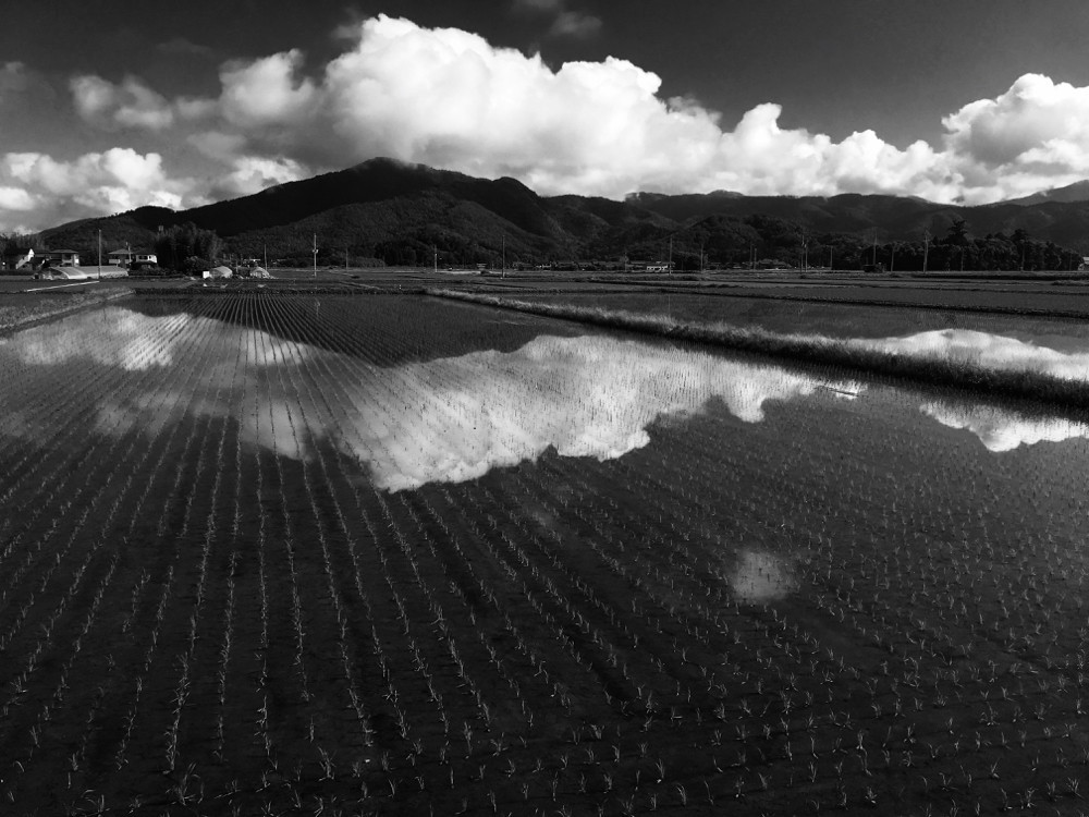 田んぼに空と山と雲が映る