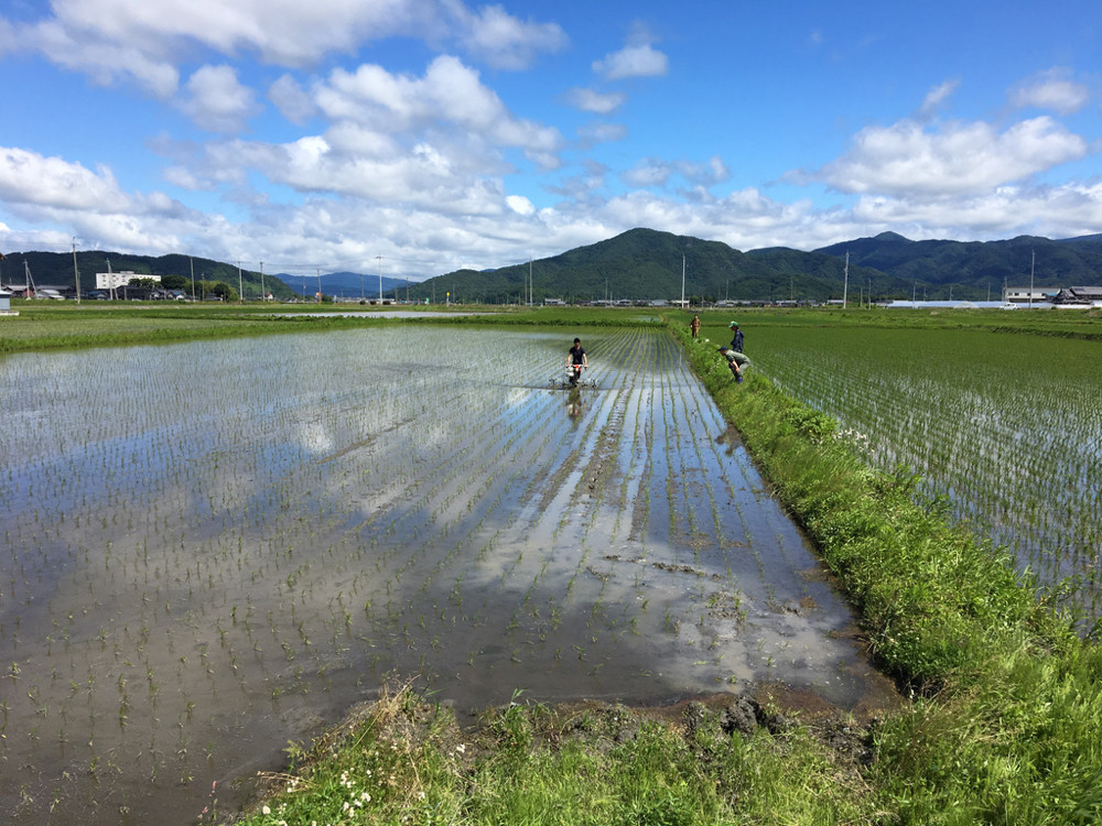 あめんぼ号のデモ
