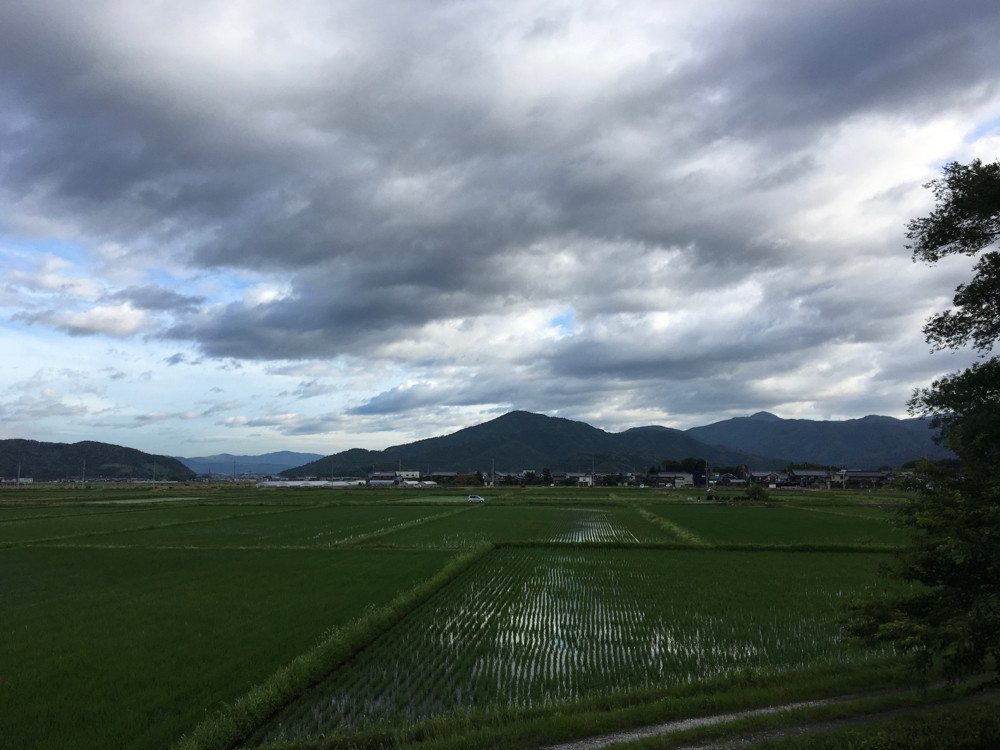 梅雨の空と田んぼ