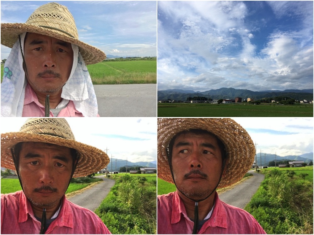 幼穂を確認する百姓はこんな顔(笑)。