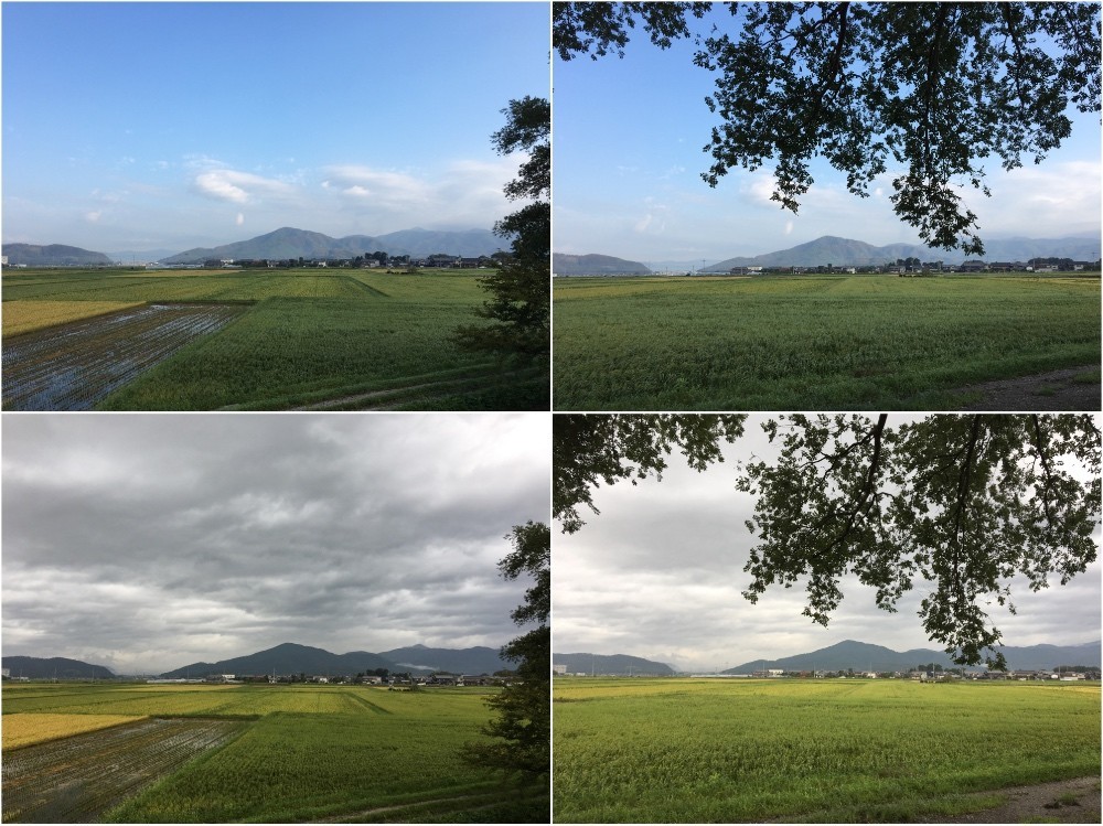 昨日と今日の景色