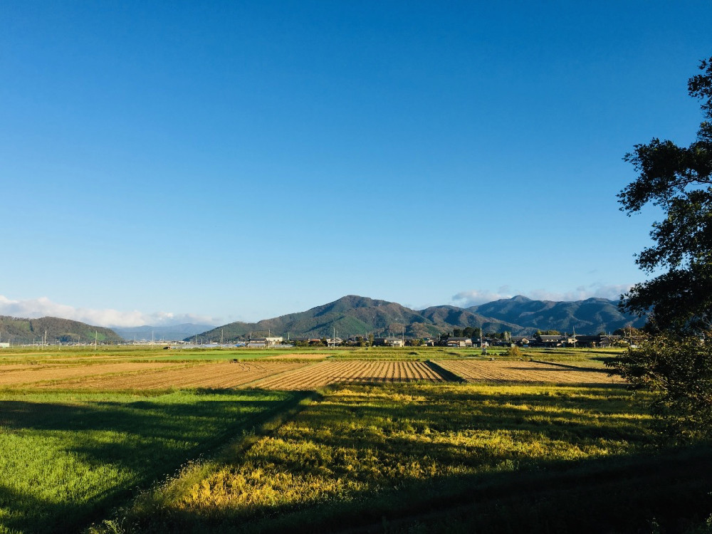 体育の日の朝、といっても10月10日ではなくて8日だけど。