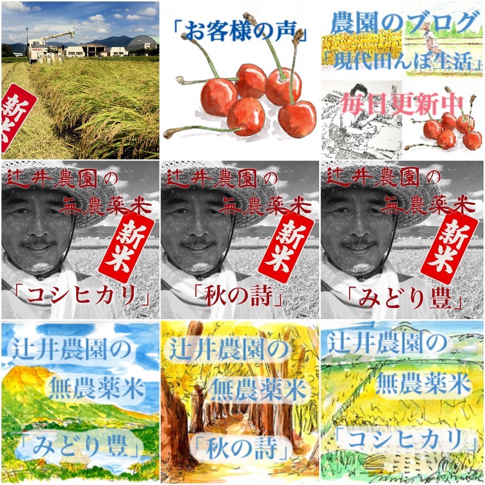 楽天市場の辻井農園のバナー