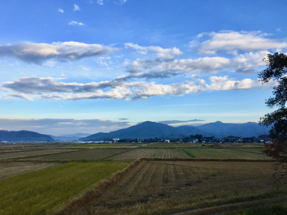 朝の散歩の雲である。