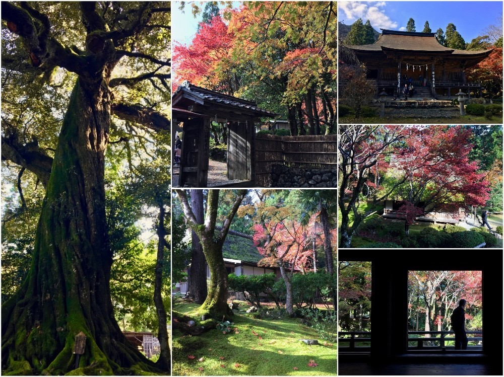 神宮寺の紅葉