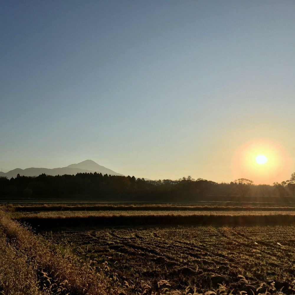 快晴の朝。このあと小春日和に。